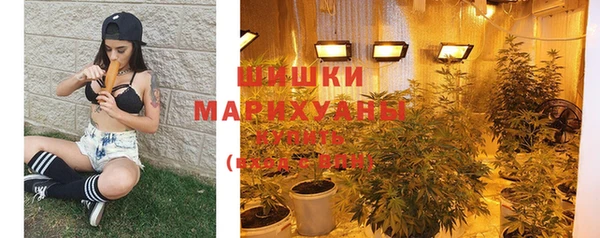 спайс Няндома