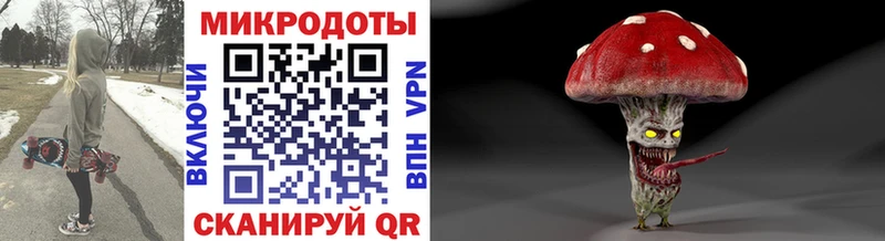 Галлюциногенные грибы Psilocybe  Аша 